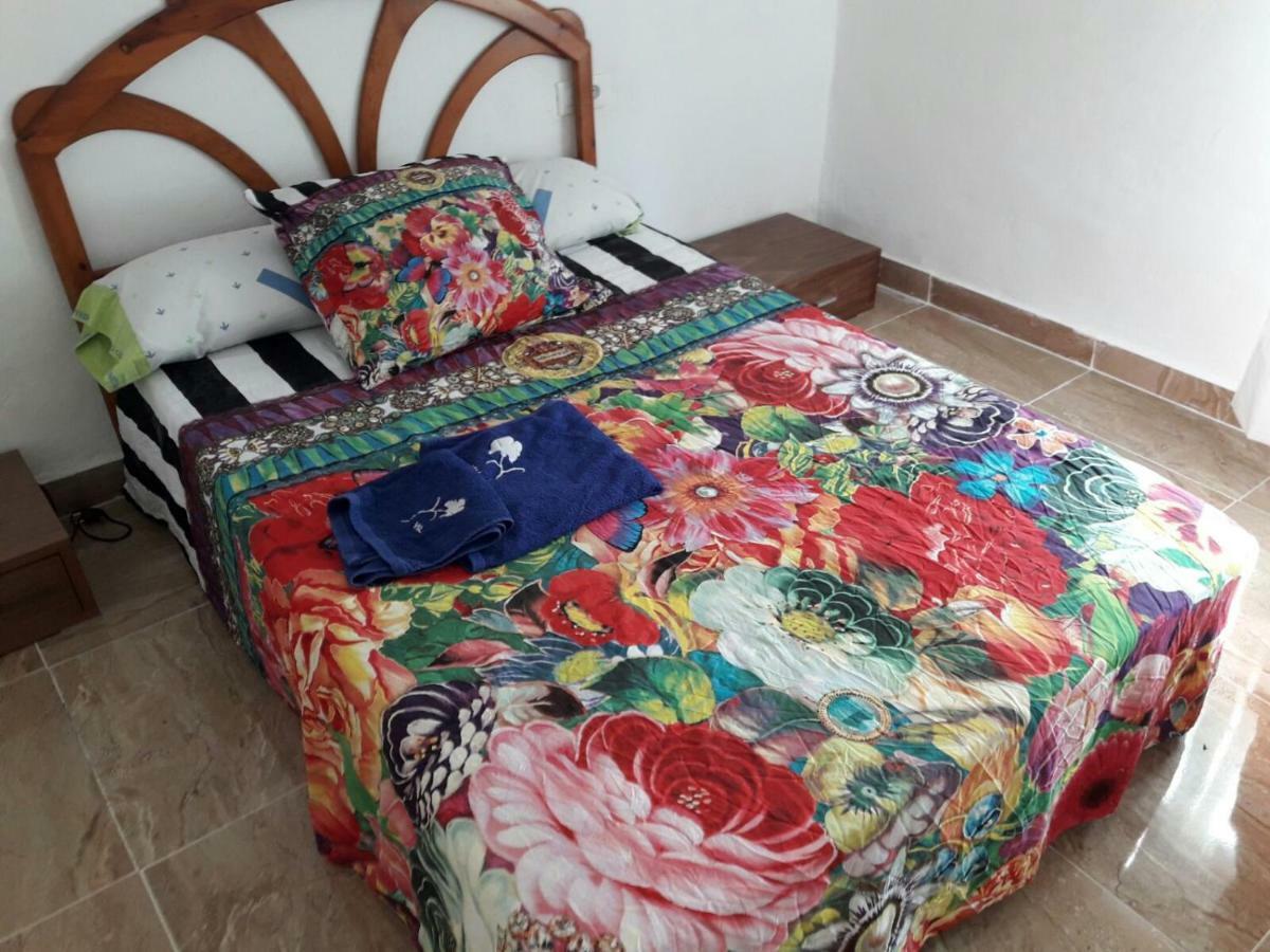 Apartamento Sofia فالنسيا المظهر الخارجي الصورة